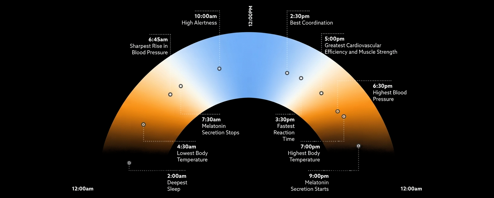 SALT-circadian-rhythm.png